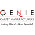Avatar of Genie Carpet