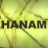 Avatar of Hanam Industries