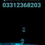 Avatar of Mustafa Javed