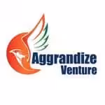 Avatar of Aggrandize Venture