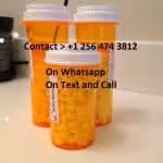 Avatar of Trapsin Drugstore