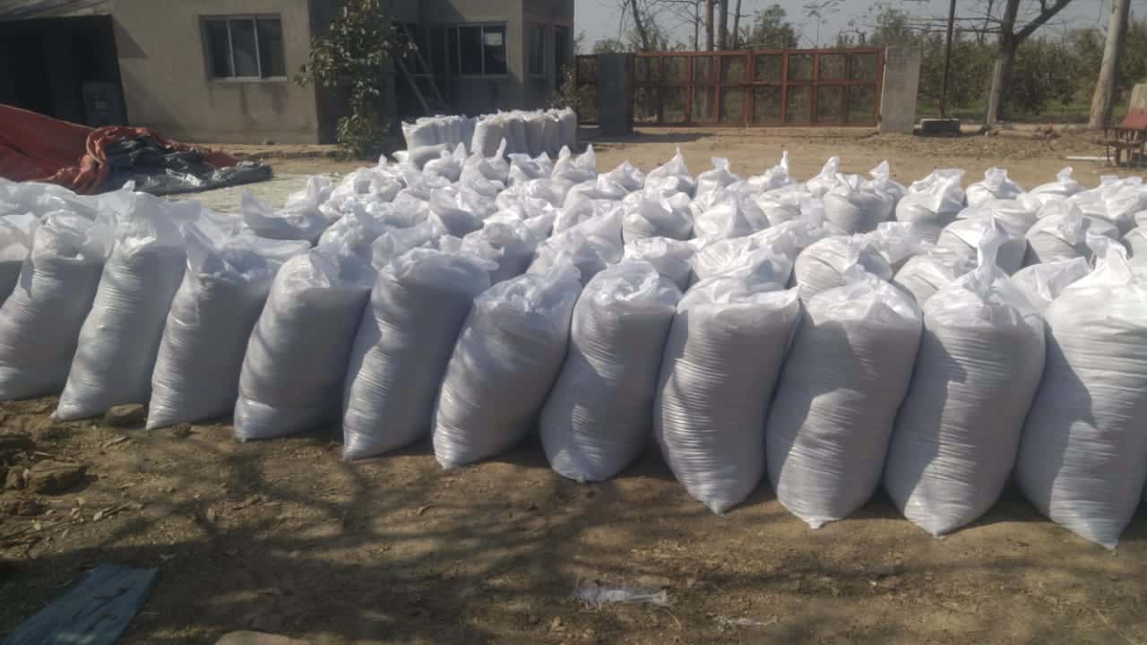 A+ Quality Corn Silage for sale