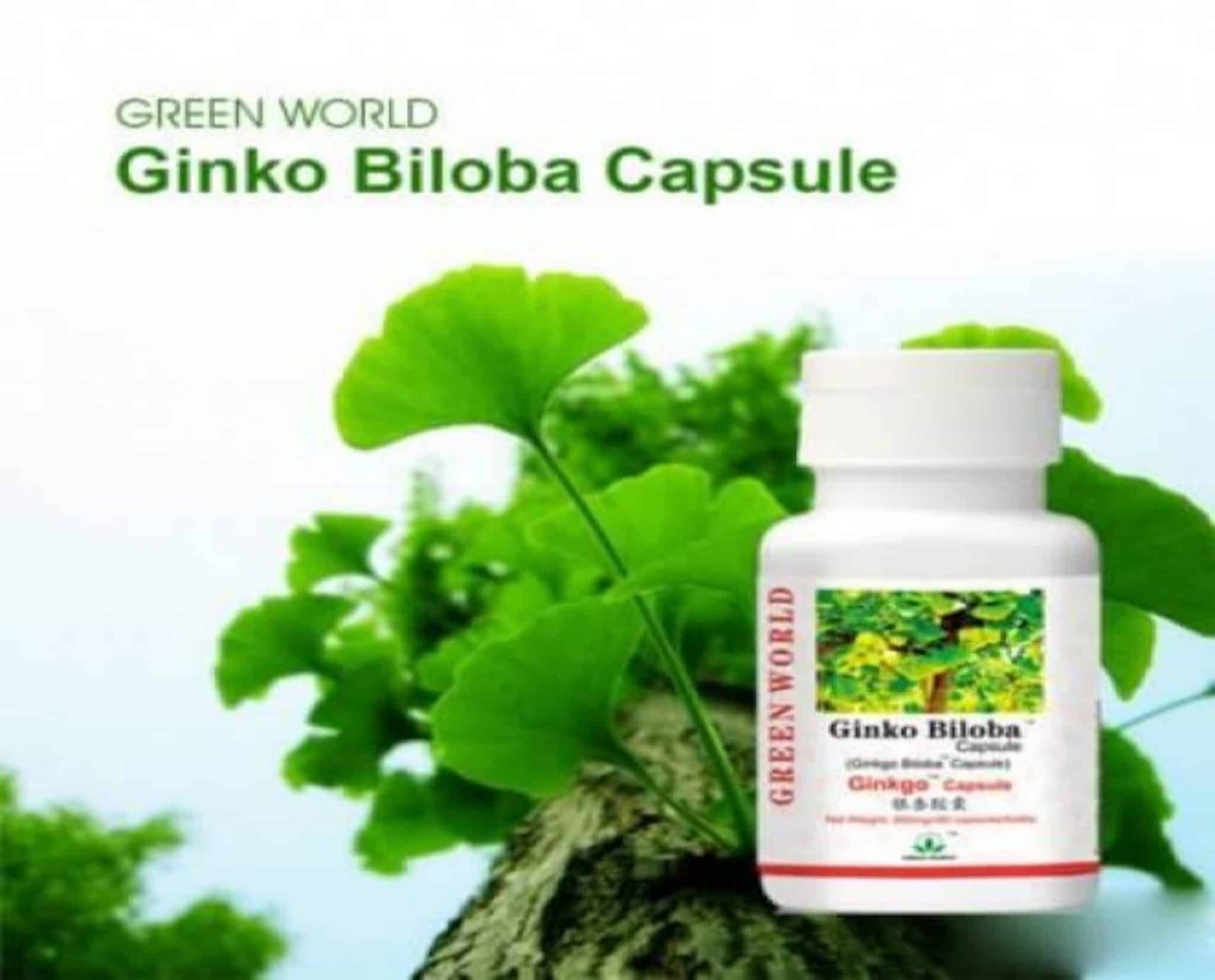Ginkgo Biloba Capsule Price in Pakistan (Buy Now)