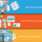 SAP FICO Course
