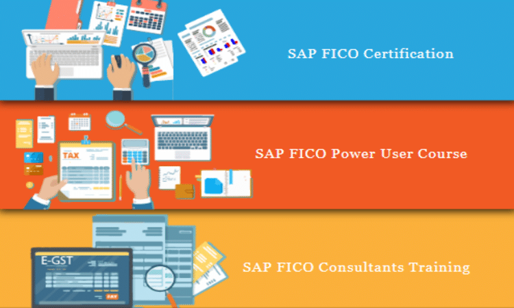 SAP FICO Course In Laxmi Nagar Delhi SLA Institute SAP FICO Course In Laxmi Nagar Delhi SLA Institute