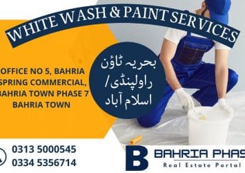 Paint services