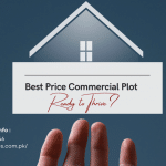 Commercial Plot
