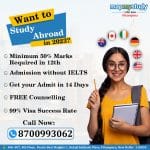 Overseas Education Consultancy