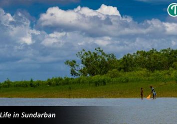 Sundarban Package