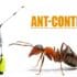 Ant control