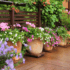 Outdoor Flowering Plants in Plant Pots in Dubai