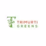 Avatar of trimurti greens