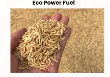 Rice Husk Available at Zarea Limited | 52 495377346 122183625362050120 6837854161855574779 n