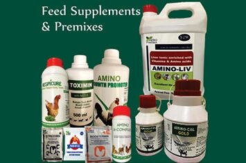 Feed Supplement Premixes 1
