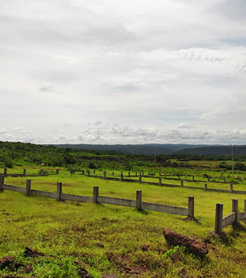 plots3