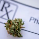 Cannabist Virginia Beach