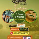 Sundarban Hilsa Festival