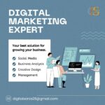 sania seo services 2