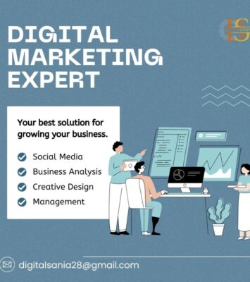 sania seo services 2