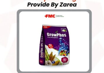 Growphos 10Kg | ZAREA 52 515444757 122188415630050120 8447217601031618247 n
