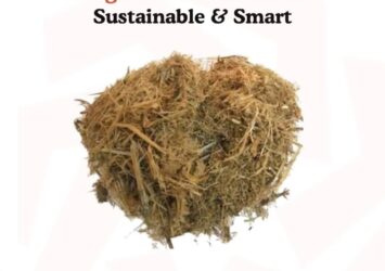 Bagasse | Zarea Limited 55 518293967 122189643740050120 6602348862751415501 n