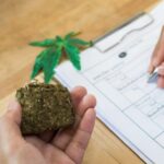 Cannabist Williamsburg VA