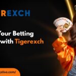 tiger 3