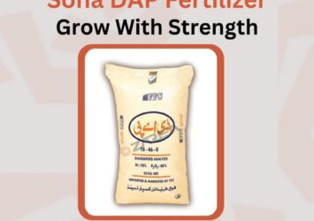 Sona DAP 25KG | ZAREA 58 472817091 122170068950050120 3428614967761549117 n