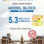 Faisal Town 1666