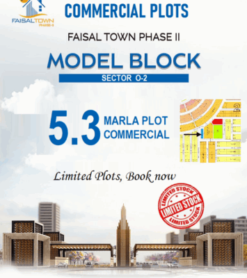 Faisal Town 1666
