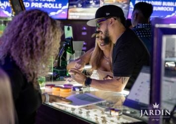 Medical Cannabis in Las Vegas