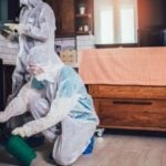 Pest Control Dubai