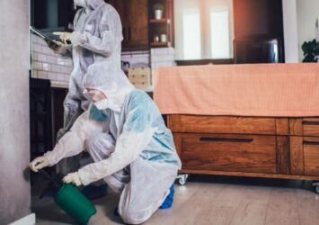 UAE PestMan – Trusted Pest Control Services in Dubai