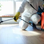 istockphoto 1414982124 612x612 1