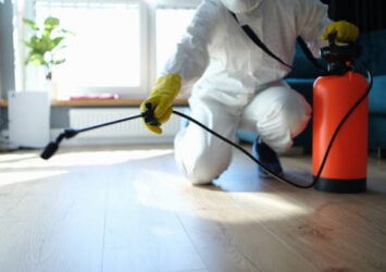 istockphoto 1414982124 612x612 2