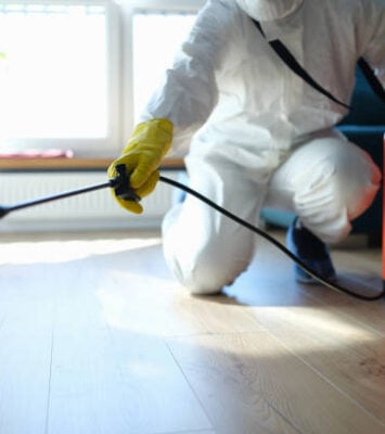 istockphoto 1414982124 612x612 2