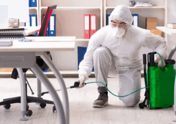 Affordable Exterminator in Dubai – UAE PestMan