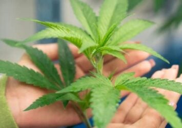 Medical Marijuana Card for Depression