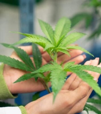 Medical Marijuana Card for Depression