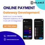 Online Payment gateway development