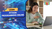 Python programming online jpg