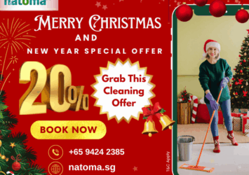 Christmas New Year 3