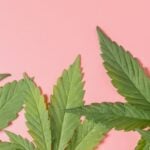 Dispensary in Virginia