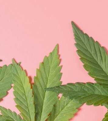 Dispensary in Virginia