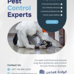 Pest Control in Dubai
