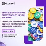 Hire Stablecoin Development Experts In USA