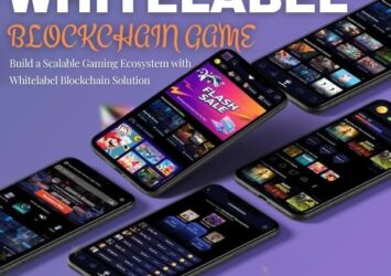 Launch Your Game Faster with Ready-Made White-Label Blockcha
