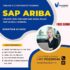 Master SAP Ariba Training in Hyderabad with Experts