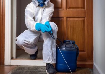 Safe & Effective Pest Control Dubai | Protect Your Home