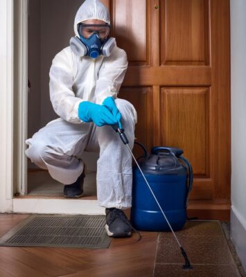 general pest control mumbai 260